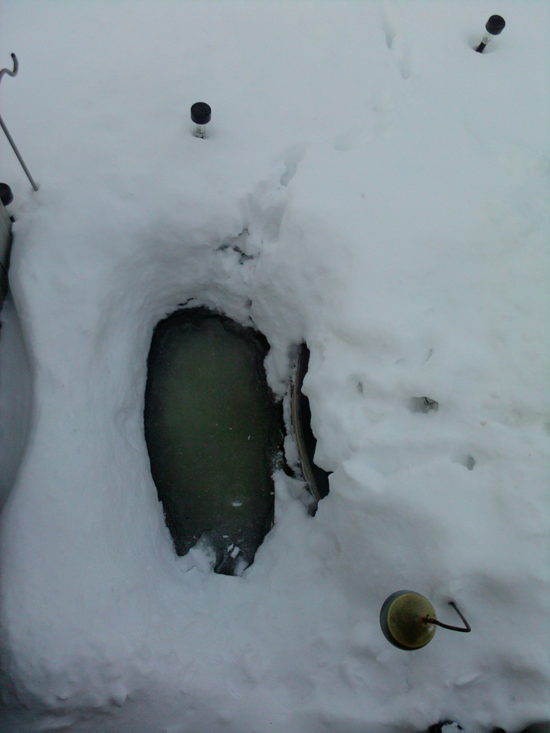See? Pics! My fish pond is hiding under all that snow...somewhere.