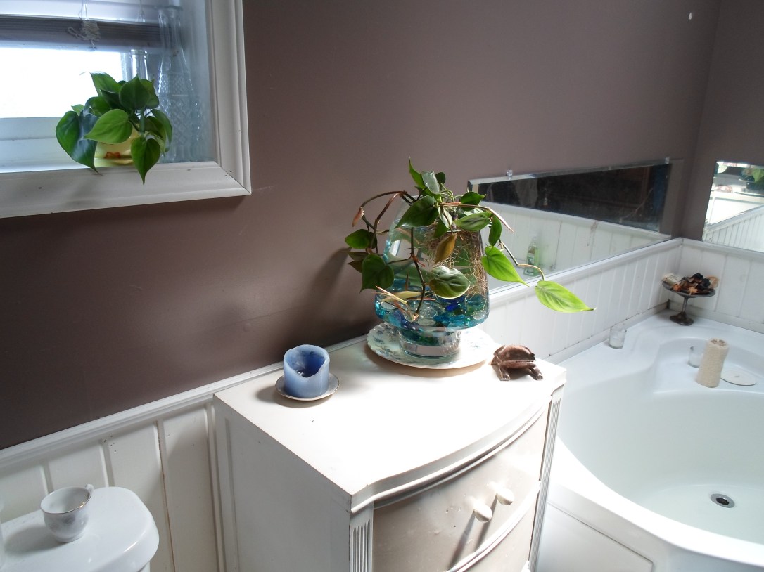 We brought home a new friend...